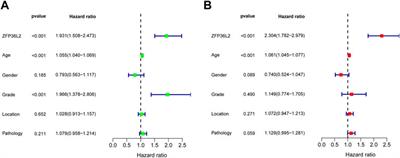 High expression of ZFP36L2 correlates with the prognosis and immune infiltration in lower-grade glioma